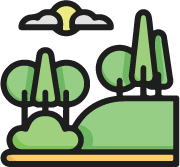 Services Image